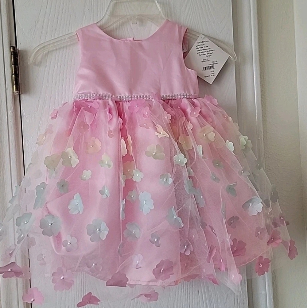Bluberri Boulevard Pink Dress Tulle Easter Spring Floral